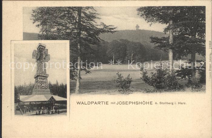 Stolberg Harz Waldpartie Josephshoehe