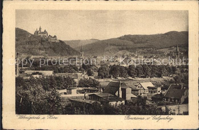 Wernigerode Harz Panorama Galgenberg