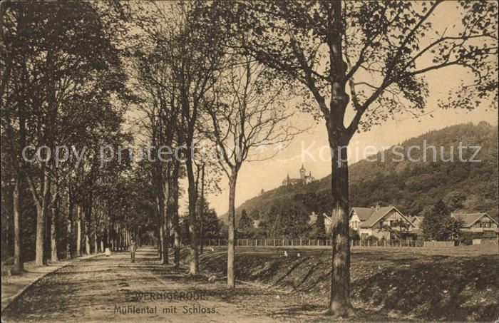 Wernigerode Harz Muehlental mit Schloss