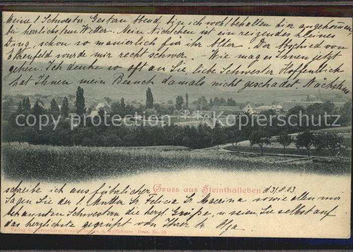 Steinthaleben Panorama