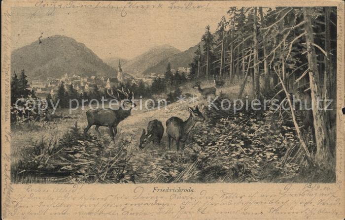 Friedrichroda Panorama Hirsche
