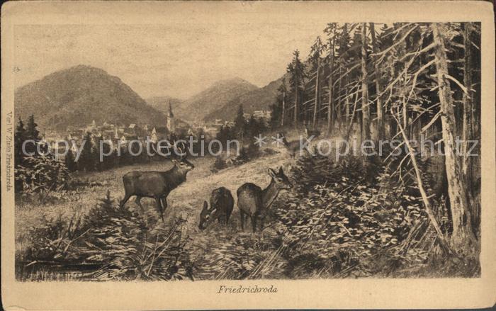 Friedrichroda Panorama Hirsche