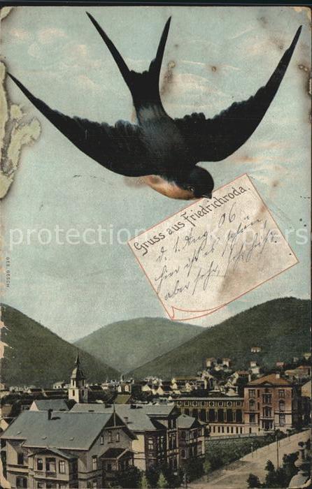 Friedrichroda Ortsansicht Brieftaube