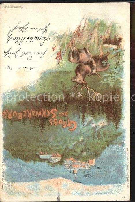 Schwarzburg Thueringer Wald Schloss Hirsche