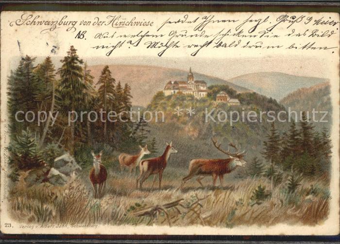 Schwarzburg Thueringer Wald Hirschwiese