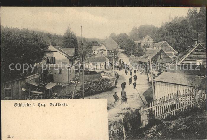 Schierke Harz Dorfstrasse Kuhherde
