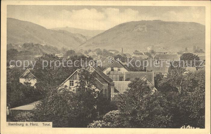 Ilsenburg Harz Ortsansicht