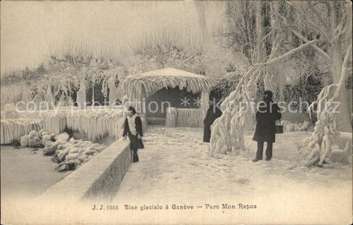 Genf GE Vereister Park Mon Repos