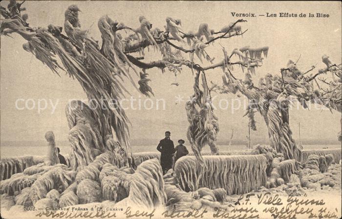 Versoix Eis und Schnee