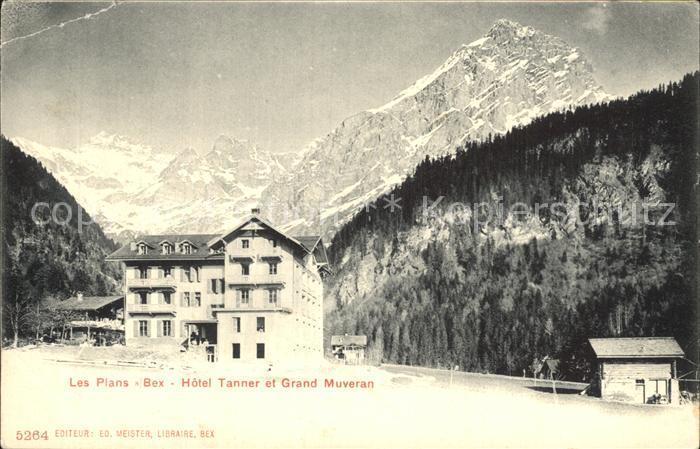 Les Plans-sur-Bex Hotel Tanner Grand Muveran