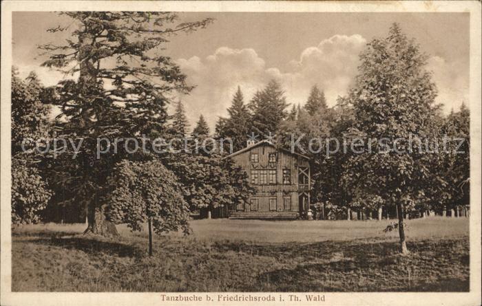 Friedrichsroda Tanzbuche