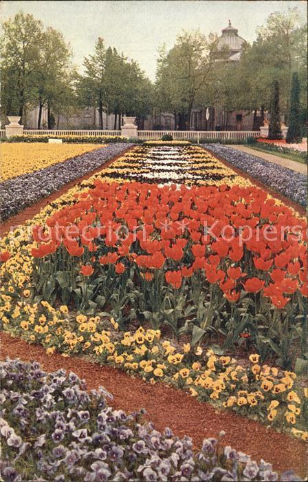 Gartenbauaustellung Dresden Frühlingsblumen Haupteingang