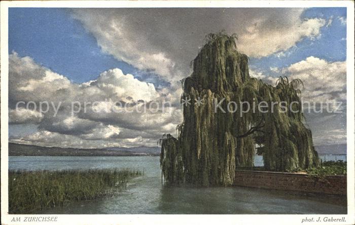 Foto Gaberell J. Nr. 8895 Zürichsee