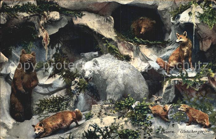 Tiere Alpentiere Museum Luzern Gletschergarten