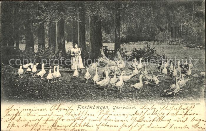 Finsterbergen Gaenseliesel