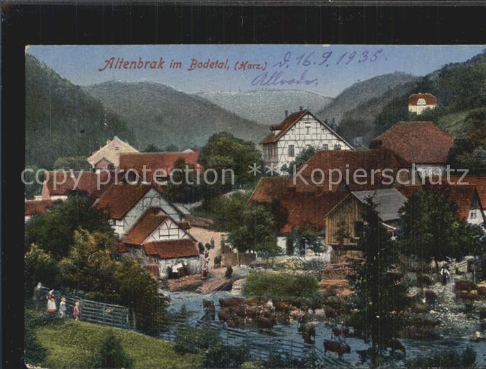Altenbrak Harz Teilansicht