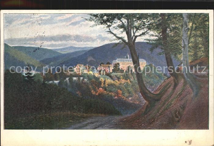 Schwarzburg Thueringer Wald Teilansicht