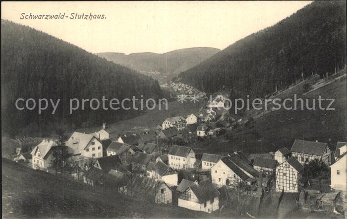 Schwarzburg Thueringer Wald Schwarzwald Schutzhaus