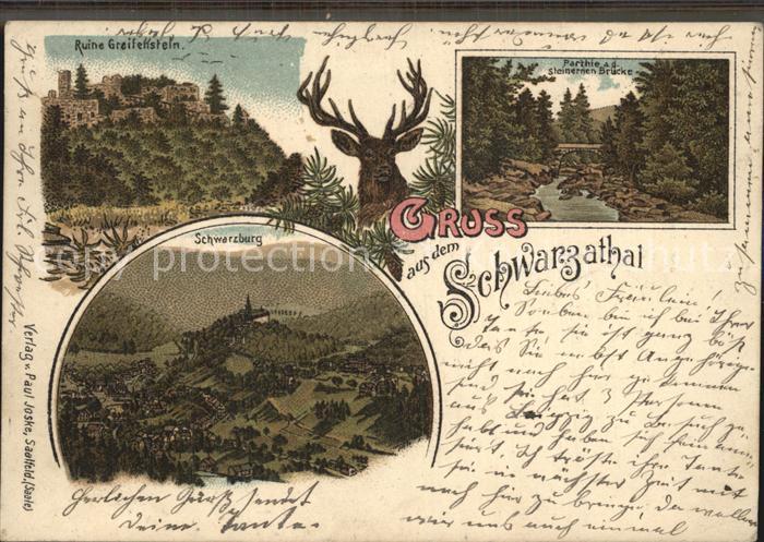 Schwarzatal Ruine Greifenstein Schwarzburg artie an der Steinernen Bruecke