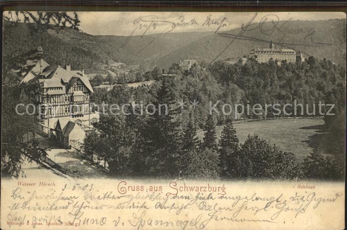 Schwarzburg Thueringer Wald Gasthaus Weisser Hirsch mit Schloss