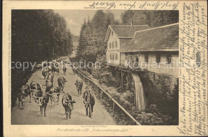 Friedrichroda Viehtrieb