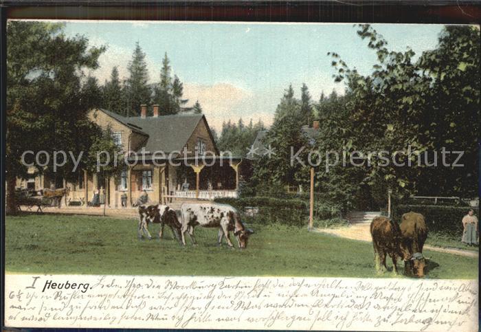 Friedrichroda Heuberg