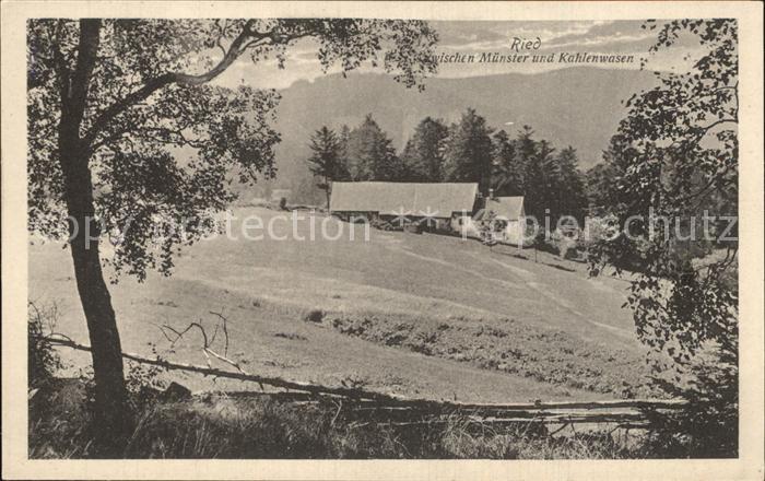 Ried Elsass Zwischen Muenster und Kahlenwasen