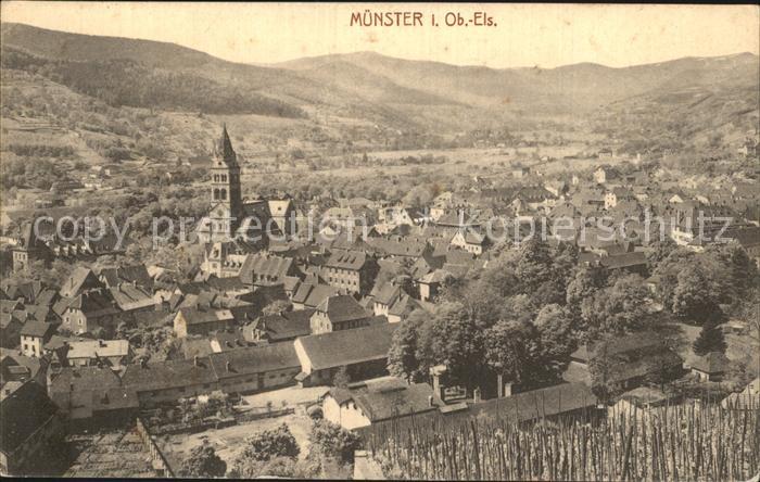 Muenster Elsass Luftaufnahme