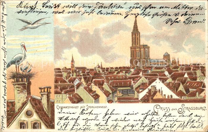 Strassburg Elsass Stadtansicht Storchennest