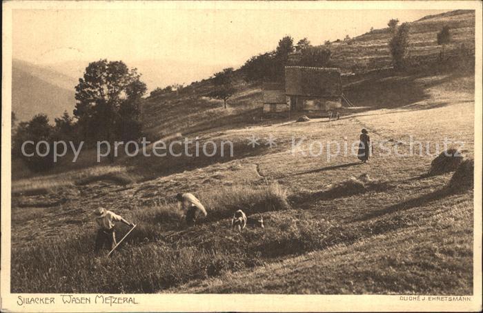 Metzeral Haut Rhin Sillacker Wasen Heuernte