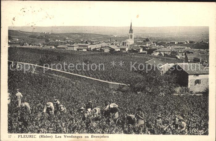 Fleurie Les Vendanges en Beaujolais
