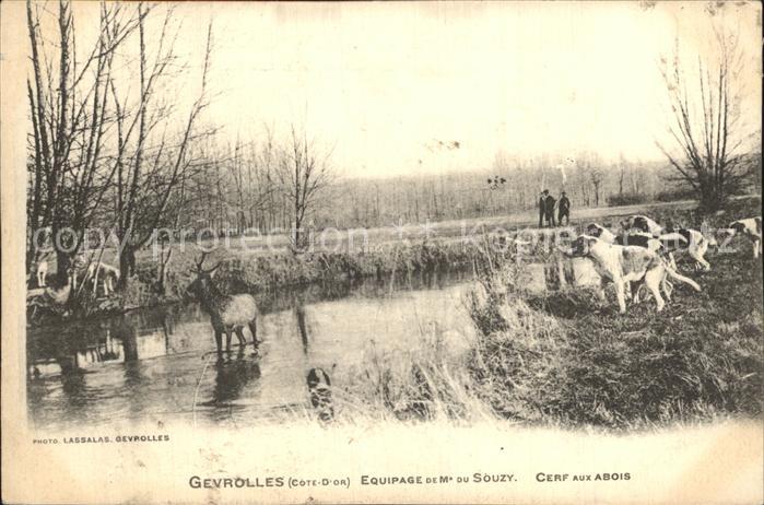 Gevrolles Equipage de Mr Souzy Cerf aux Abois Jagd