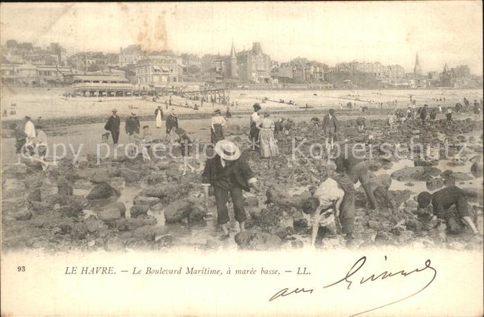 Le Havre Boulevard Maritime a maree basse
