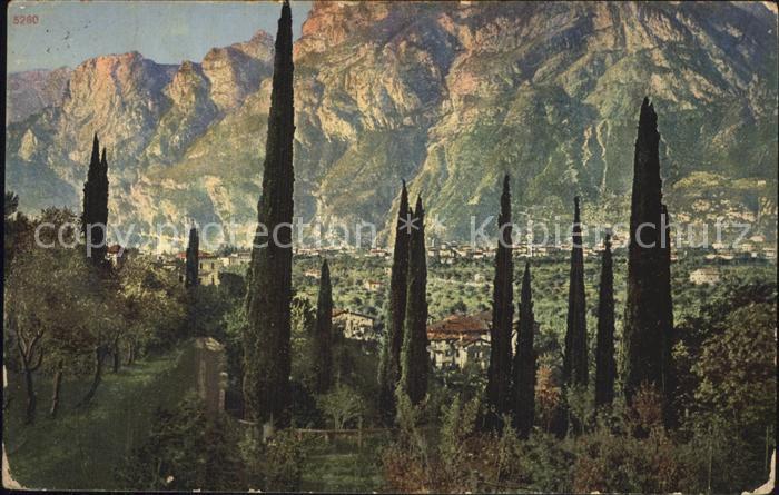 Riva del Garda Gruppo di Cipressi a San Alessandro