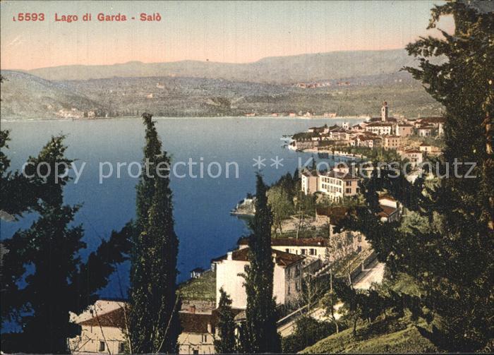 Salo Lago di Garda Panorama