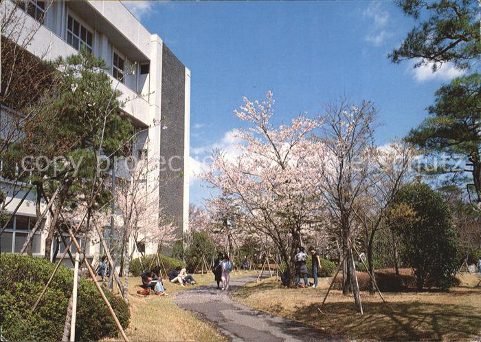 Japan The Main Library at cherry blossom time