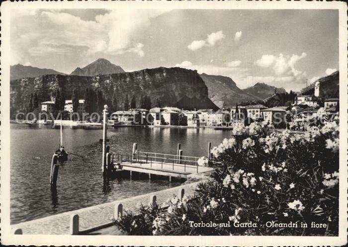 Torbole Lago di Garda Oleandri in fiore