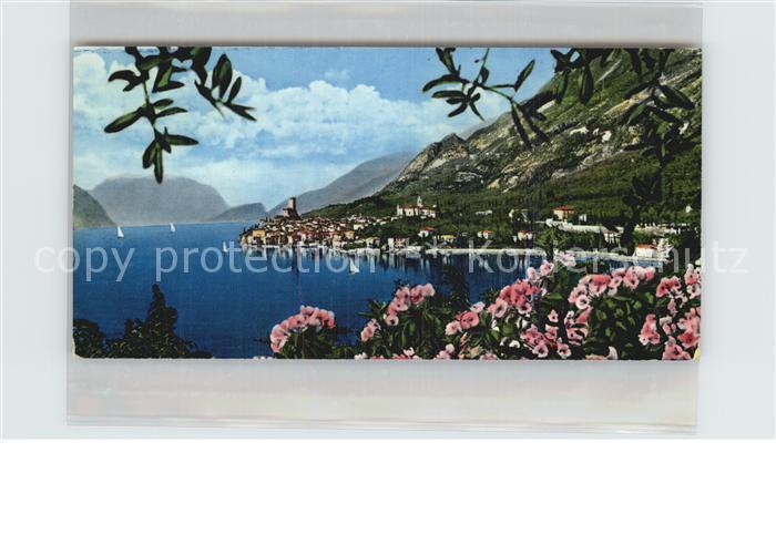 Malcesine Lago di Garda Panorama