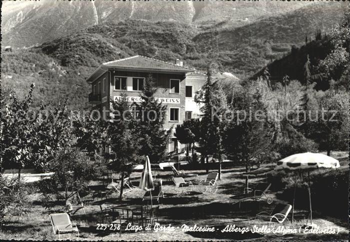 Malcesine Lago di Garda Hotel Edelweiss