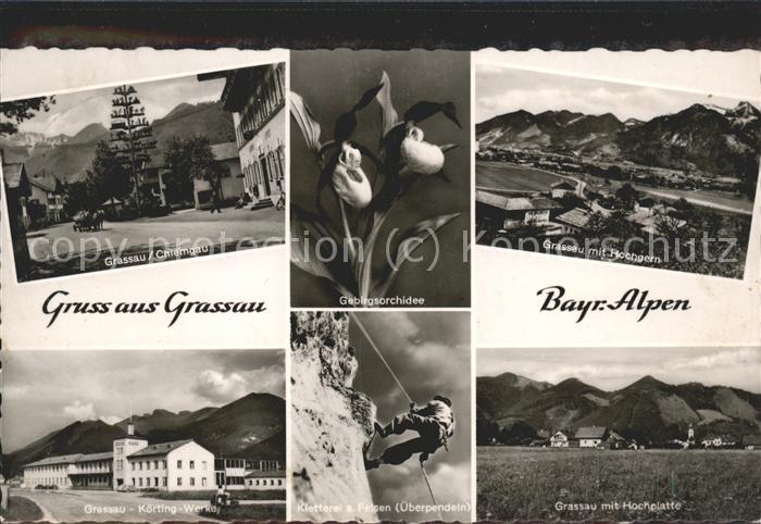 Grassau Chiemgau Dorfstrasse Maibaum Gebirgsorchidee K?r