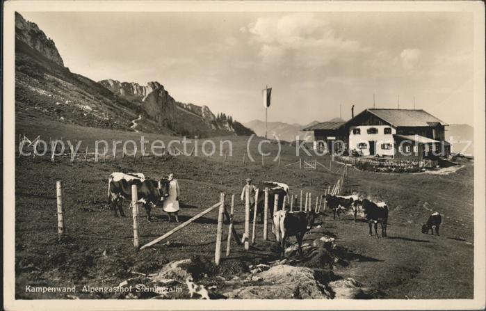 Bernau Chiemsee Alpengasthof Steinlingalm Viehweide Küh
