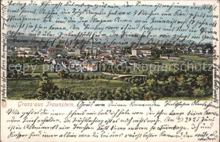 Traunstein Oberbayern Gesamtansicht mit Alpenpanorama