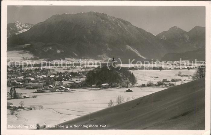 Ruhpolding Bayern Panorama mit Rauschberg und Sonntagshorn Chiemgauer Alpen im W