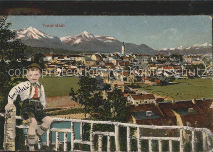 Traunstein Oberbayern Gesamtansicht mit Alpenpanorama Kind