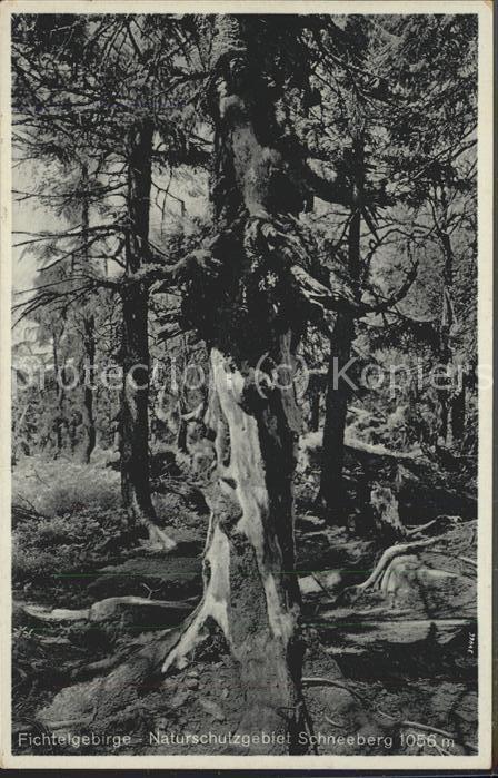 Merseburg Saale Naturschutzgebiet Schneeberg