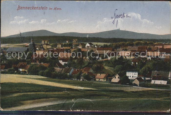 Benneckenstein Panorama