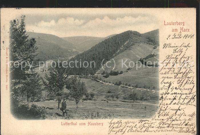 Bad Lauterberg Lutterthal vom Hausberg