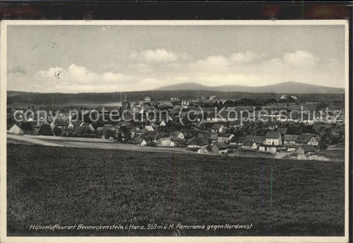 Benneckenstein Panorama