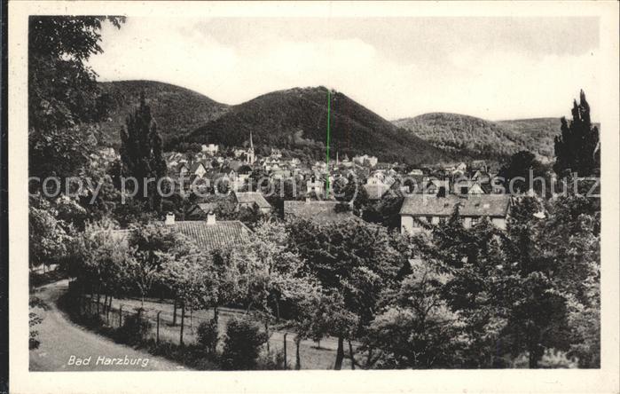 Bad Harzburg Panorama