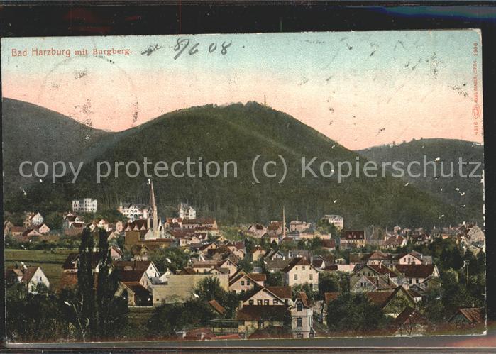 Bad Harzburg Panorama mit Burgberg
